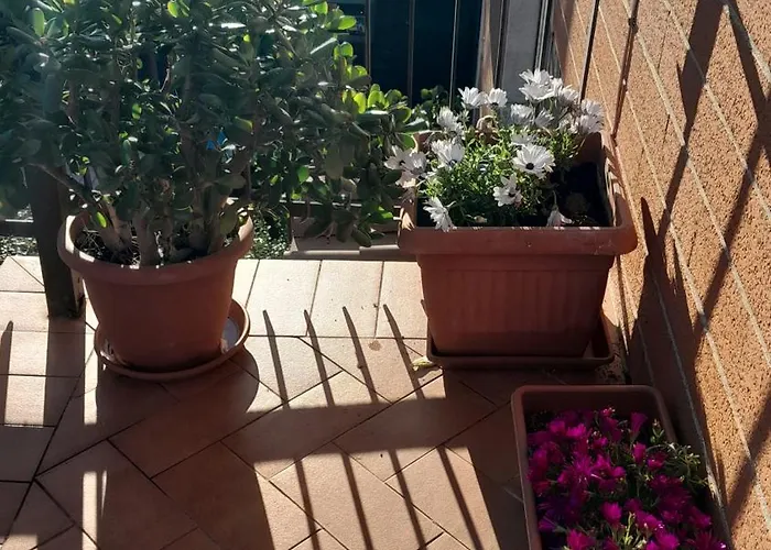 La Romana Apartamento *